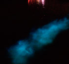Bioluminescence Tour